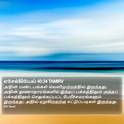 எசேக்கியேல் 40:34 TAMIRV Bible Verse Image