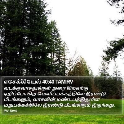 எசேக்கியேல் 40:40 TAMIRV Bible Verse Image