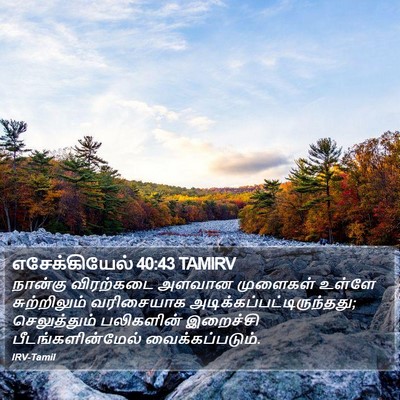 எசேக்கியேல் 40:43 TAMIRV Bible Verse Image
