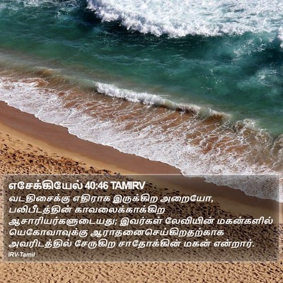 எசேக்கியேல் 40:46 TAMIRV Bible Verse Image