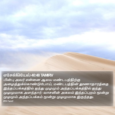 எசேக்கியேல் 40:48 TAMIRV Bible Verse Image