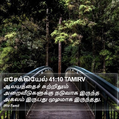 எசேக்கியேல் 41:10 TAMIRV Bible Verse Image