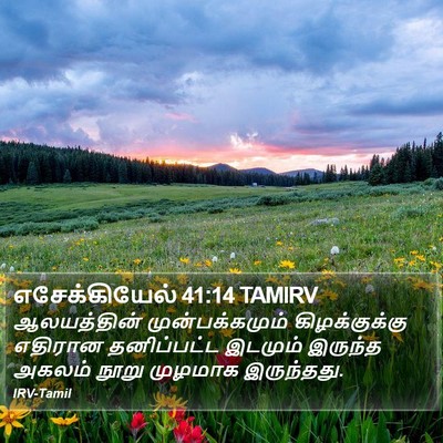 எசேக்கியேல் 41:14 TAMIRV Bible Verse Image