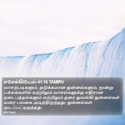 எசேக்கியேல் 41:16 TAMIRV Bible Verse Image