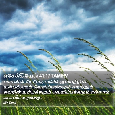 எசேக்கியேல் 41:17 TAMIRV Bible Verse Image