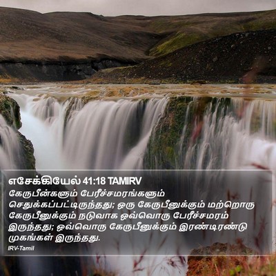 எசேக்கியேல் 41:18 TAMIRV Bible Verse Image