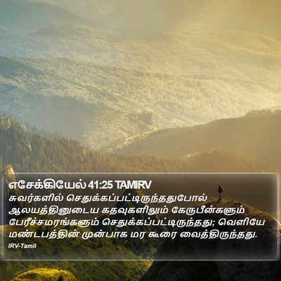 எசேக்கியேல் 41:25 TAMIRV Bible Verse Image