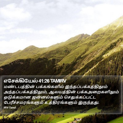 எசேக்கியேல் 41:26 TAMIRV Bible Verse Image