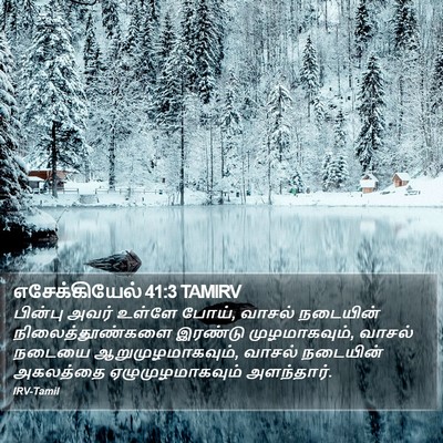 எசேக்கியேல் 41:3 TAMIRV Bible Verse Image