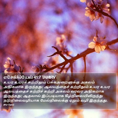 எசேக்கியேல் 41:7 TAMIRV Bible Verse Image