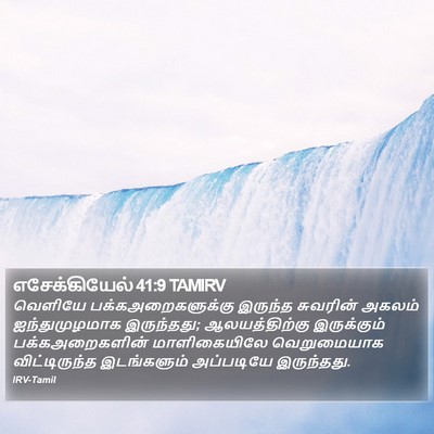 எசேக்கியேல் 41:9 TAMIRV Bible Verse Image