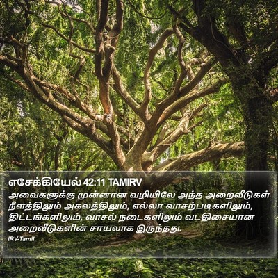 எசேக்கியேல் 42:11 TAMIRV Bible Verse Image