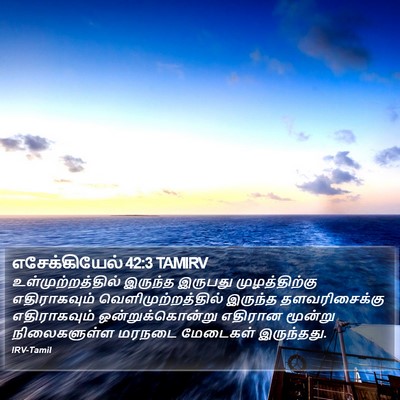 எசேக்கியேல் 42:3 TAMIRV Bible Verse Image