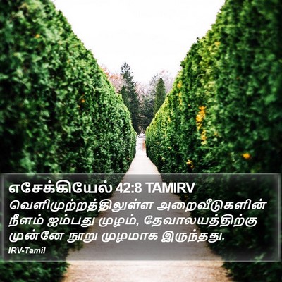 எசேக்கியேல் 42:8 TAMIRV Bible Verse Image