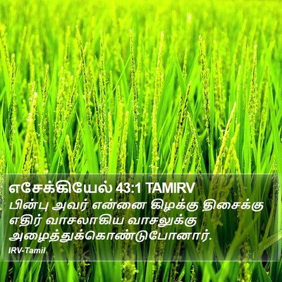 எசேக்கியேல் 43:1 TAMIRV Bible Verse Image