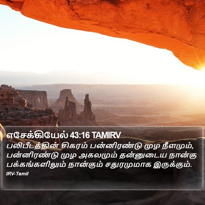 எசேக்கியேல் 43:16 TAMIRV Bible Verse Image