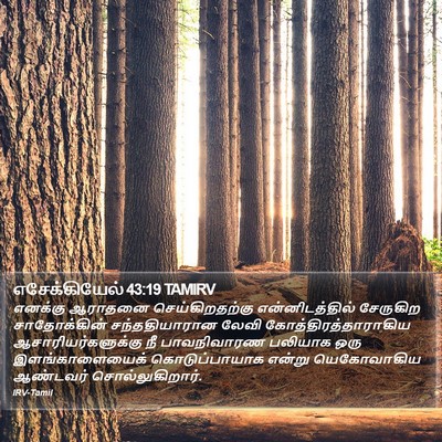 எசேக்கியேல் 43:19 TAMIRV Bible Verse Image