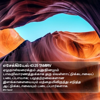 எசேக்கியேல் 43:25 TAMIRV Bible Verse Image