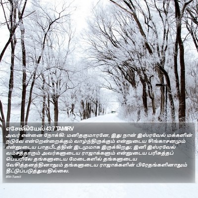 எசேக்கியேல் 43:7 TAMIRV Bible Verse Image