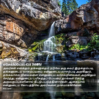 எசேக்கியேல் 43:8 TAMIRV Bible Verse Image