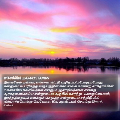 எசேக்கியேல் 44:15 TAMIRV Bible Verse Image
