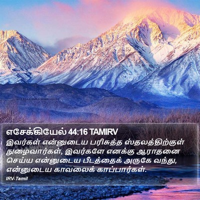 எசேக்கியேல் 44:16 TAMIRV Bible Verse Image