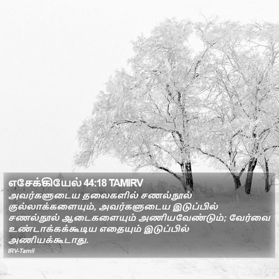 எசேக்கியேல் 44:18 TAMIRV Bible Verse Image