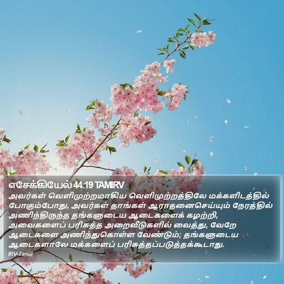 எசேக்கியேல் 44:19 TAMIRV Bible Verse Image