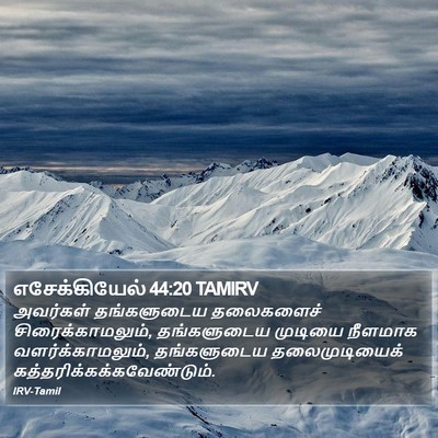எசேக்கியேல் 44:20 TAMIRV Bible Verse Image