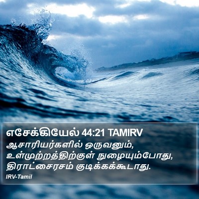 எசேக்கியேல் 44:21 TAMIRV Bible Verse Image