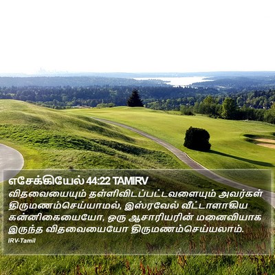 எசேக்கியேல் 44:22 TAMIRV Bible Verse Image