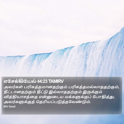 எசேக்கியேல் 44:23 TAMIRV Bible Verse Image