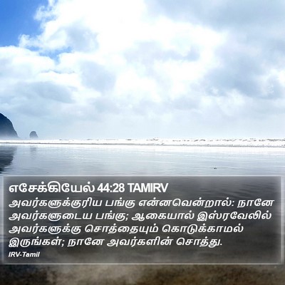 எசேக்கியேல் 44:28 TAMIRV Bible Verse Image