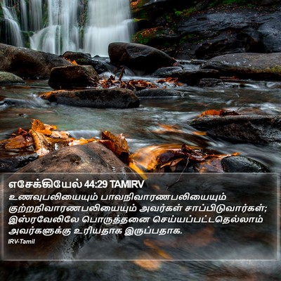 எசேக்கியேல் 44:29 TAMIRV Bible Verse Image