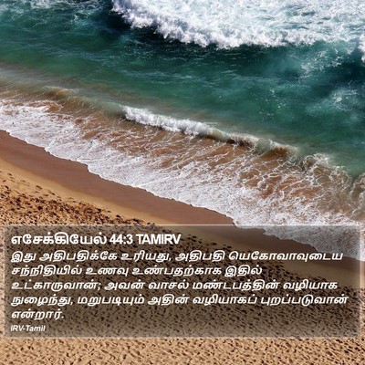 எசேக்கியேல் 44:3 TAMIRV Bible Verse Image