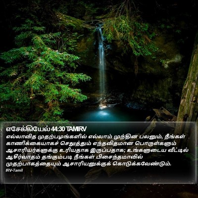 எசேக்கியேல் 44:30 TAMIRV Bible Verse Image