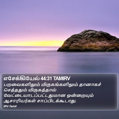 எசேக்கியேல் 44:31 TAMIRV Bible Verse Image