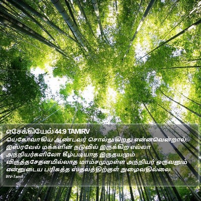 எசேக்கியேல் 44:9 TAMIRV Bible Verse Image