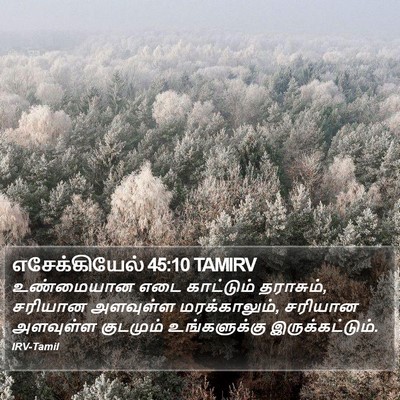 எசேக்கியேல் 45:10 TAMIRV Bible Verse Image