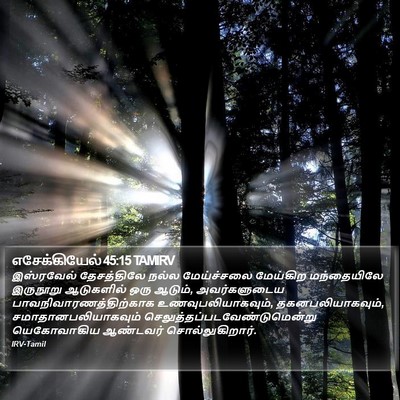 எசேக்கியேல் 45:15 TAMIRV Bible Verse Image