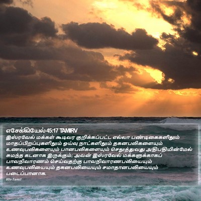 எசேக்கியேல் 45:17 TAMIRV Bible Verse Image