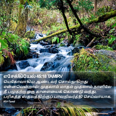 எசேக்கியேல் 45:18 TAMIRV Bible Verse Image