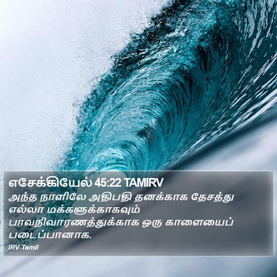 எசேக்கியேல் 45:22 TAMIRV Bible Verse Image