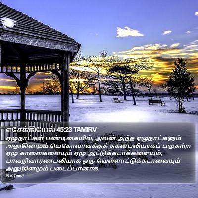 எசேக்கியேல் 45:23 TAMIRV Bible Verse Image
