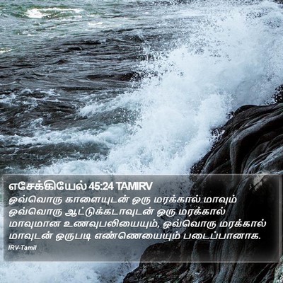 எசேக்கியேல் 45:24 TAMIRV Bible Verse Image