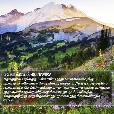 எசேக்கியேல் 45:4 TAMIRV Bible Verse Image