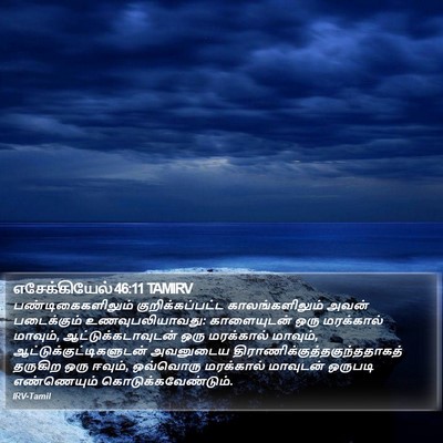 எசேக்கியேல் 46:11 TAMIRV Bible Verse Image
