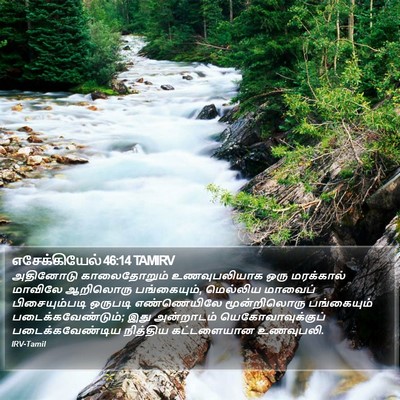 எசேக்கியேல் 46:14 TAMIRV Bible Verse Image