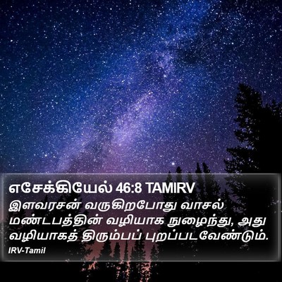 எசேக்கியேல் 46:8 TAMIRV Bible Verse Image
