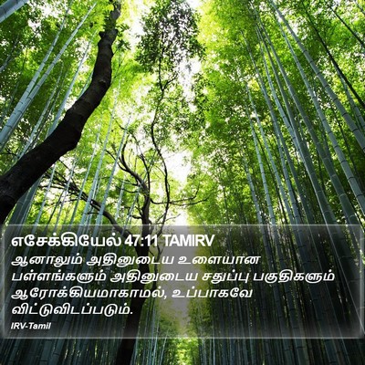 எசேக்கியேல் 47:11 TAMIRV Bible Verse Image